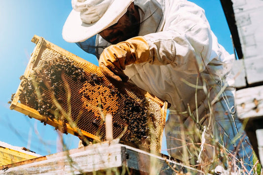 ROYAL JELLY