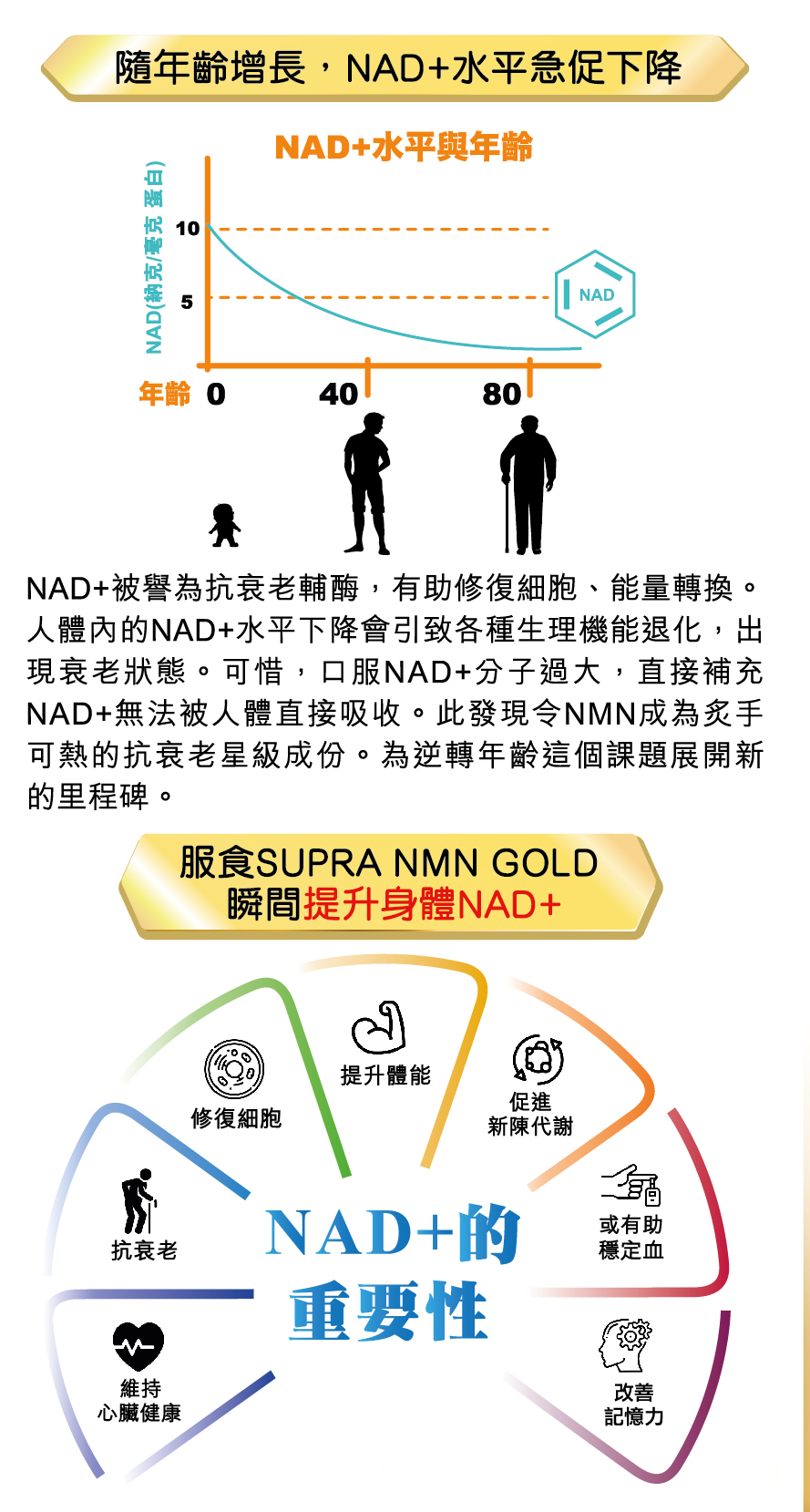 Yesnutri_Super_NMN_GOLD_Leaflet-op-07